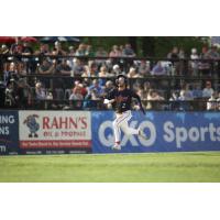 St. Cloud Rox' Tanner Recchio in action