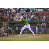 Kane County Cougars' Nick Dalesandro at bat