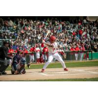 Noah Marcelo of the Winnipeg Goldeyes at bat