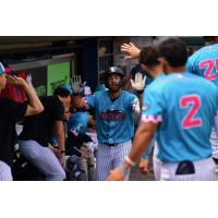 Somerset Patriots left fielder Jace Avina in the dugout