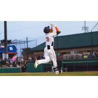 Down East Bird Dawgs outfielder Jacob Corson