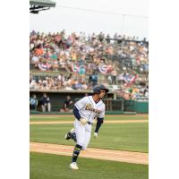 Charleston RiverDogs shortstop Alberth Palma