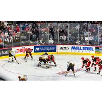 Grand Rapids Griffins face the Chicago Wolves