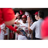 Winnipeg Goldeyes congratulate Noah Marcelo in the dugout