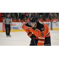 Flint Firebirds left wing Nathan Aspinall