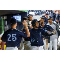 Tampa Tarpons congratulate Engelth Urena in the dugout