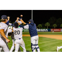 Charleston RiverDogs mob Brady Marget