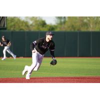 Lake Erie Crushers shortstop Jarrod Watkins