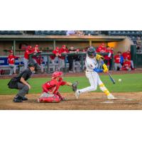 Tri-City Dust Devils outfielder Randy De Jesus