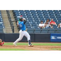 Tampa Tarpons catcher John Cristino