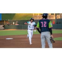 Hickory Crawdads infielder Luis Marquez