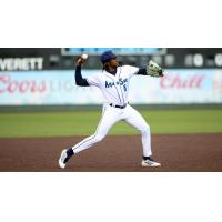 Everett AquaSox shortstop Felnin Celesten