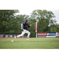 Tanner Recchio of the St. Cloud Rox