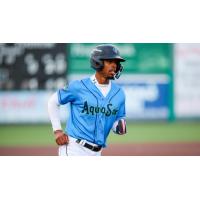 Everett AquaSox outfielder Curtis Washington Jr.