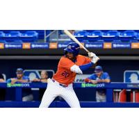 St. Lucie Mets outfielder Yohairo Cuevas