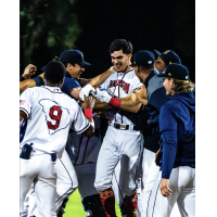 Charleston RiverDogs on game night