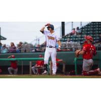 Down East Bird Dawgs' Christian Adams on game night