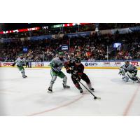 Florida Everblades defenseman Zach Berzolla (left) vs. the Kansas City Mavericks