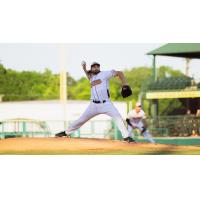 Down East Bird Dawgs pitcher Spencer Johnston