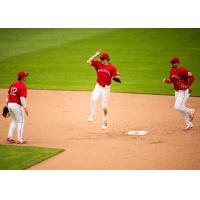 Worcester Red Sox celebrate in the infield