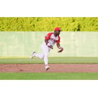 Ottawa Titans in the field