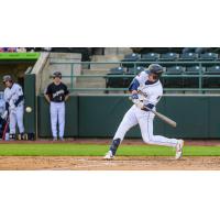 Tri-City Dust Devils catcher Caleb Bartolero