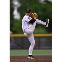 Eugene Emeralds pitcher Luis De La Torre