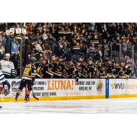 Wheeling Nailers forward Matthew Quercia along the bench