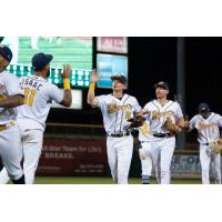 Montgomery Biscuits exchange high fives