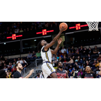 Edmonton Stingers layup