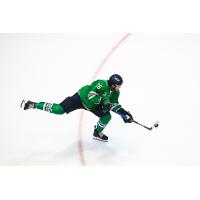Florida Everblades forward Kyle Betts