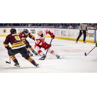 Grand Rapids Griffins forward Michael Brandsegg-Nygard
