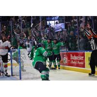 Florida Everblades celebrate a goal