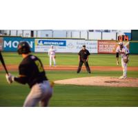 Down East Bird Dawgs on the mound against the Sussex County Miners