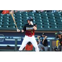 Columbia Fireflies' Connor Rasmussen at bat