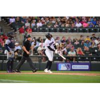 Somerset Patriots' DJ Gladney at bat