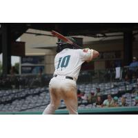 Mississippi Mud Monsters' Andrew Semo at bat
