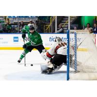 Florida Everblades forward Craig Needham vs. the Kansas City Mavericks