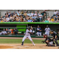Charleston RiverDogs at the plate
