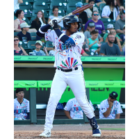 Ivan Sosa at bat for the Columbia Fireflies
