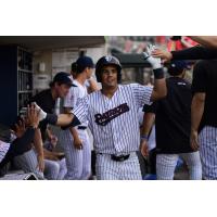 Jackson Castillo receives congratulations in the Somerset Patriots dugout