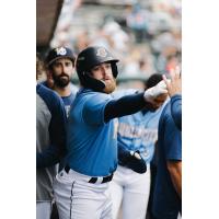 Charleston RiverDogs exchange high fives in the dugout