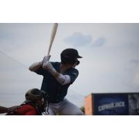 Mississippi Mud Monsters at bat