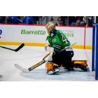 Goaltender Brandon Bussi with the Maine Mariners