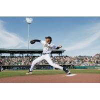Charleston RiverDogs pitcher Blake Morgan
