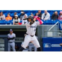 Hudson Valley Renegades outfielder Wilson Rodriguez