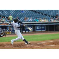 Tampa Tarpons catcher Luis Puello
