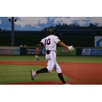 Lake Erie Crushers outfielder Sebastian Alexander