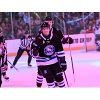 Wenatchee Wild forward Aiden Grossklaus