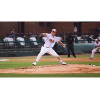 Down East Bird Dawgs pitcher Brandon Kaminer